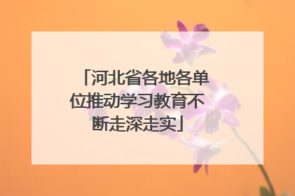 河北省各地各单位推动学习教育不断走深走实